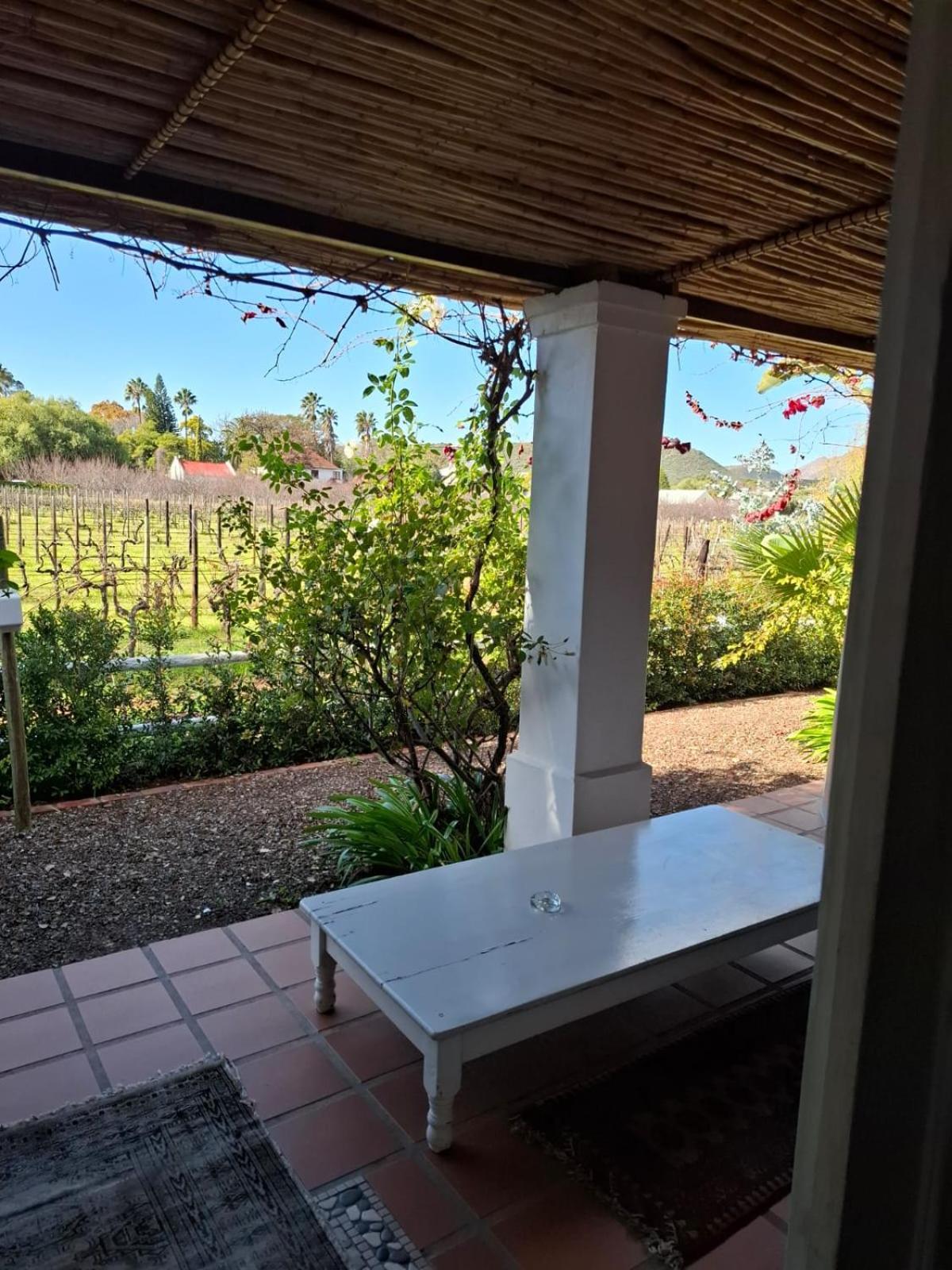 The Vineyard Montagu
