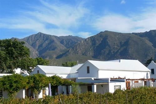 The Vineyard