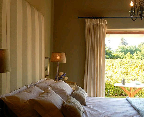 The Vineyard Montagu