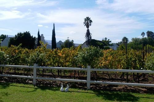 The Vineyard 4* Montagu