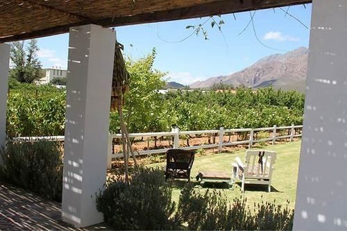 The Vineyard Hotel 4*