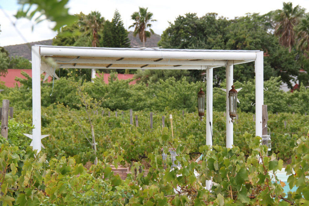 The Vineyard 4* Montagu