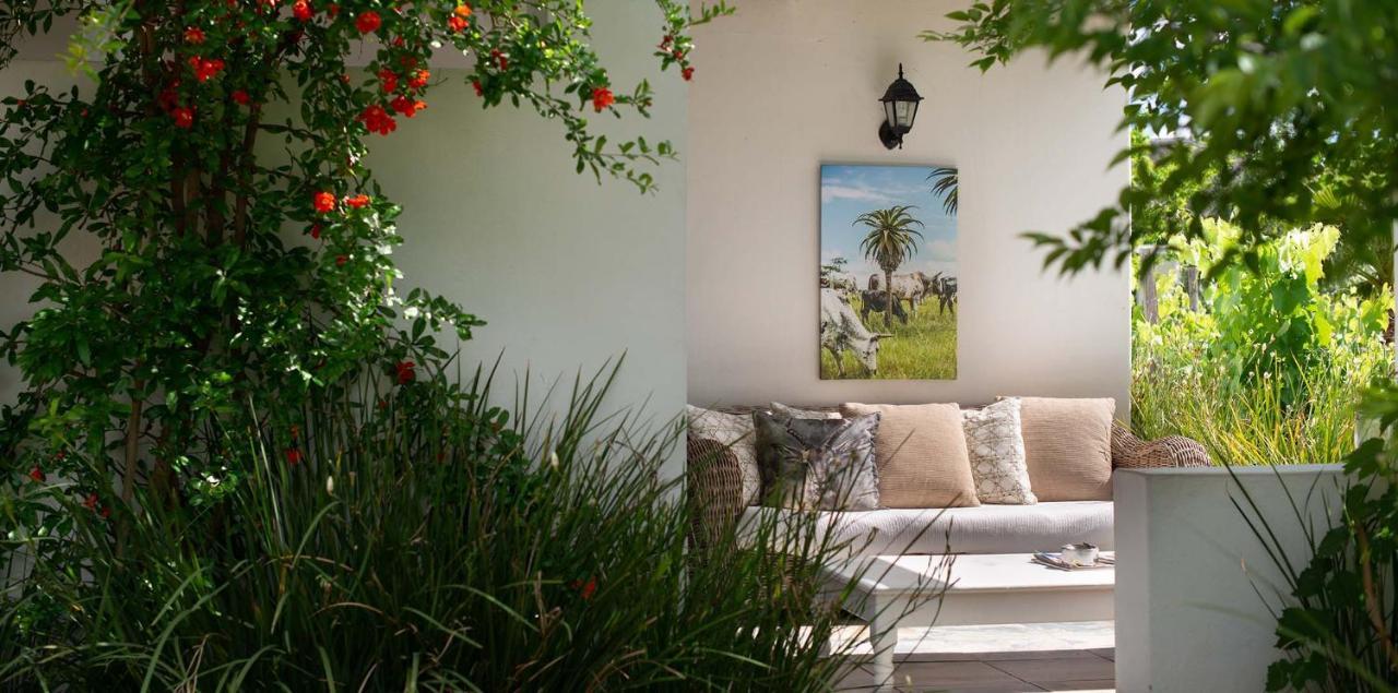 Hotel The Vineyard Montagu