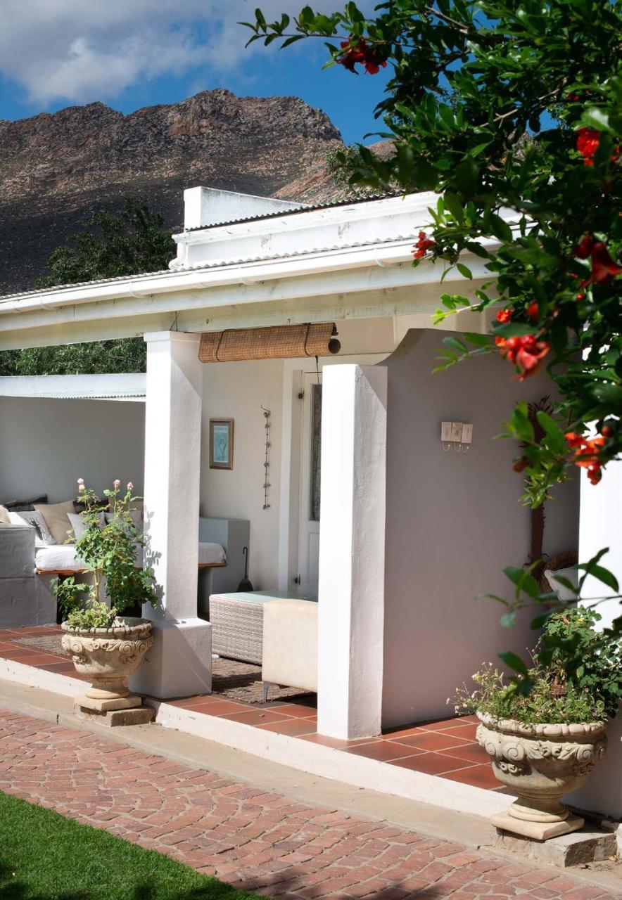 The Vineyard Hotel