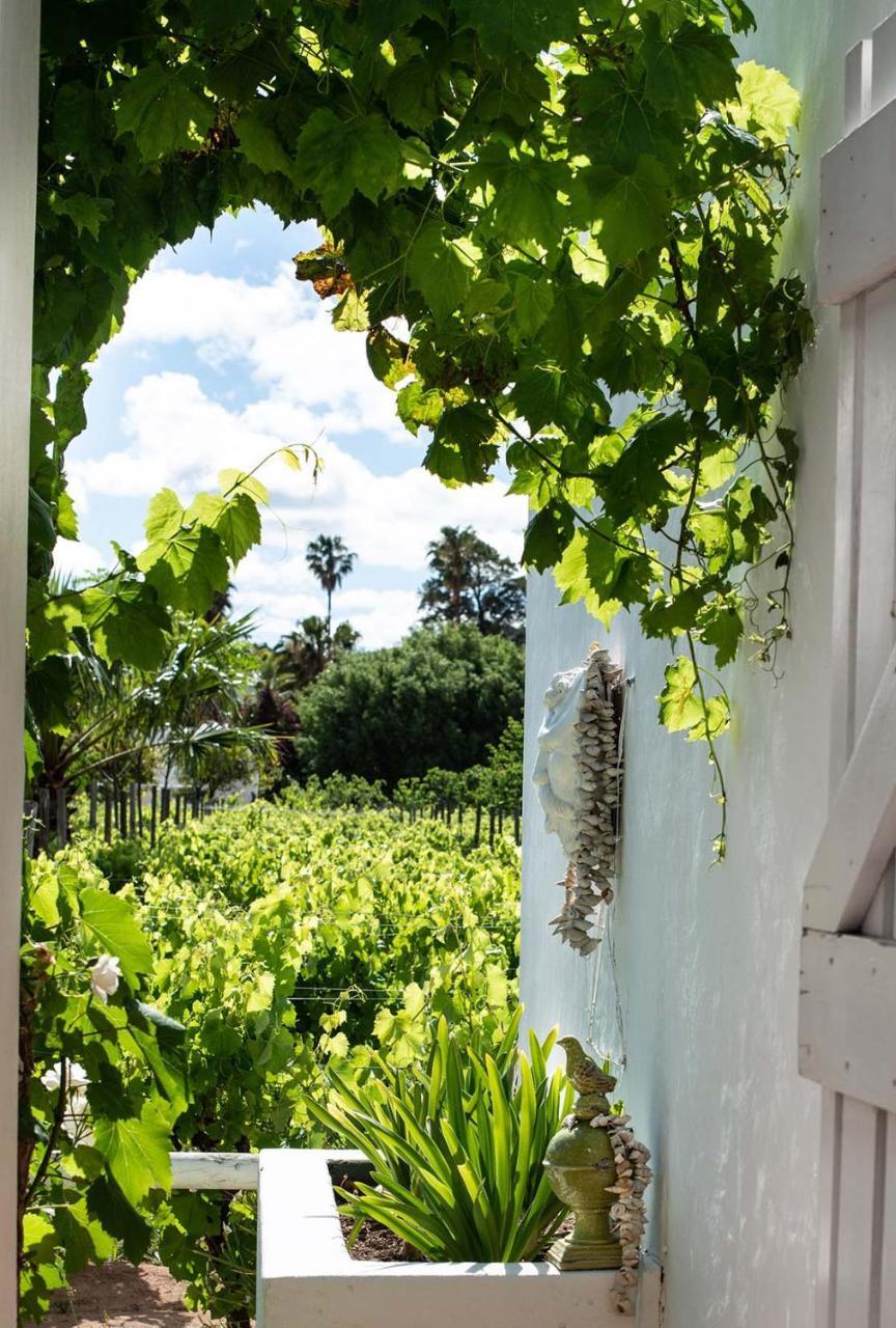 The Vineyard 4* Montagu