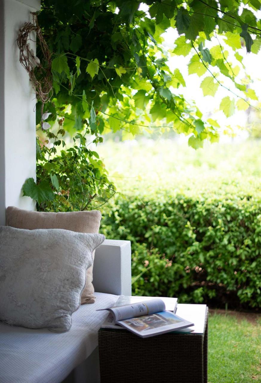 The Vineyard Hotel 4*