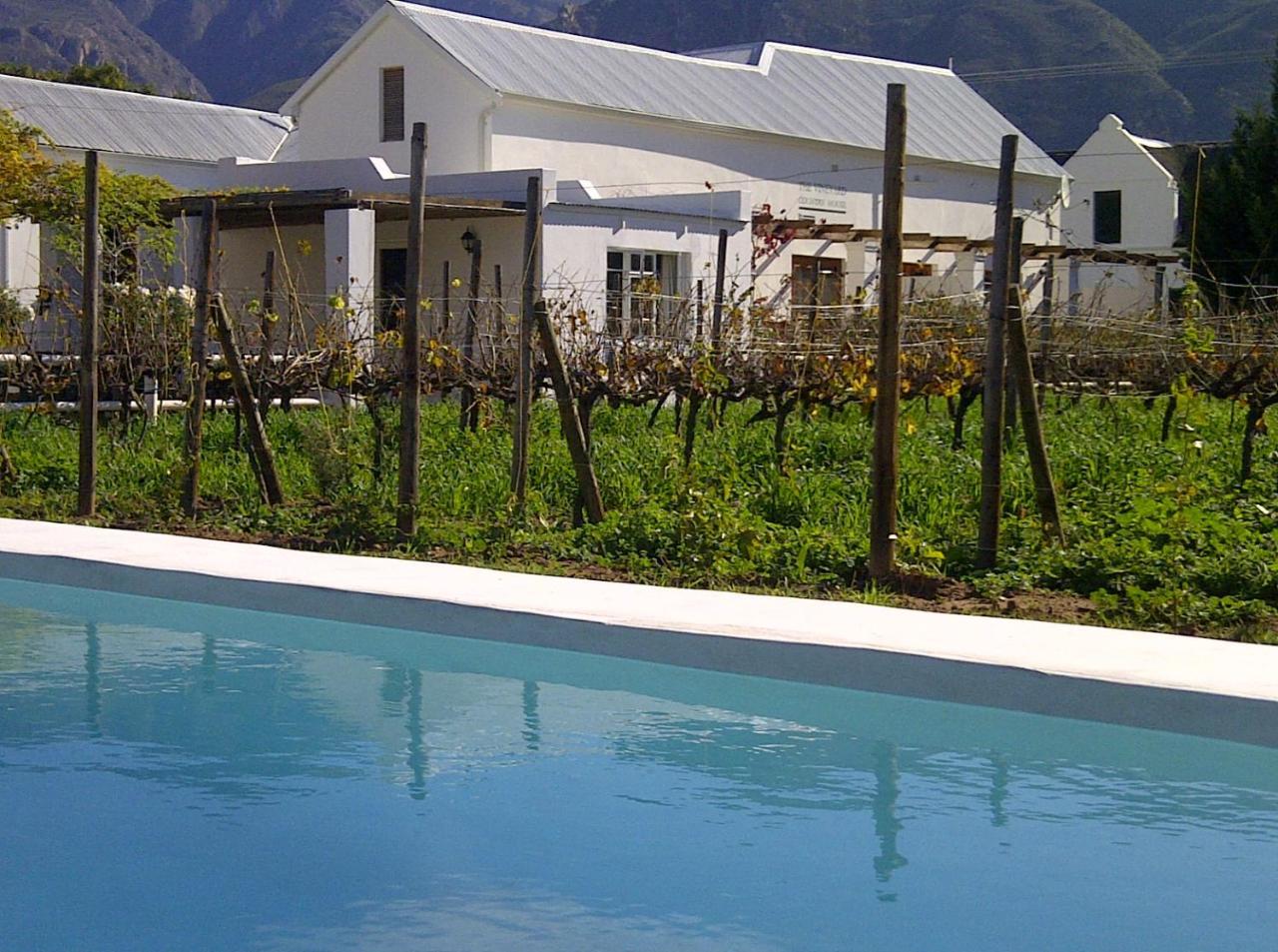The Vineyard Montagu