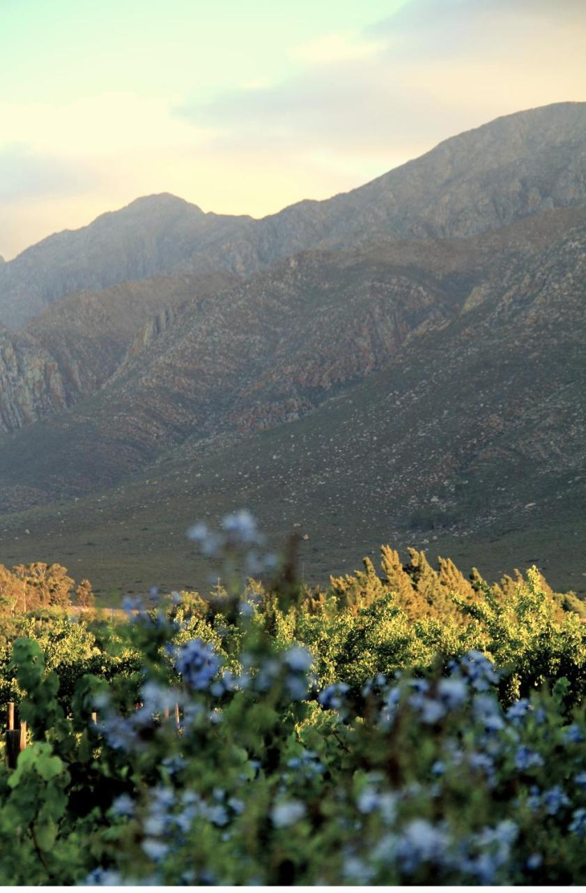The Vineyard Hotel Montagu